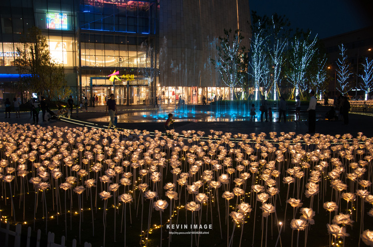 LED lights - chengdu Joy City guanding sea rose